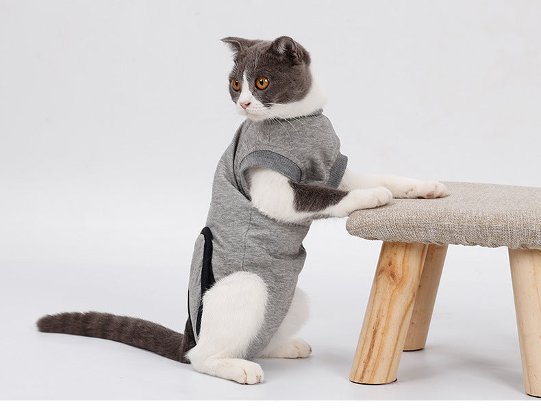 Cat Recovery Suit-soft post- Surgery Clothing, Anti-lick & Cone Alternative