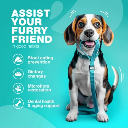 No Poo Chews For Dogs Coprophagia Deterrent For Dogs Forbid For Dogs Stool Eating Deterrent Dog Probiotics For Digestive Health Digestive Gut Immune Health Treats No Poop Eating For Dogs - Shopmerge.site