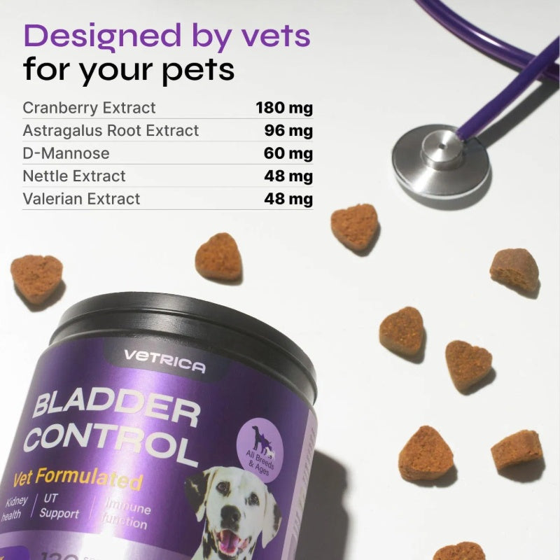 Dog UTI Treatment Duck Flavor Bladder Control Cranberry Chews Dog Cranberry Supplement For Urinary Tract Bladder & Kidney Health Cranberry D Mannose Soft Treats For Dog Incontinence Healthy Bladder - Shopmerge.site