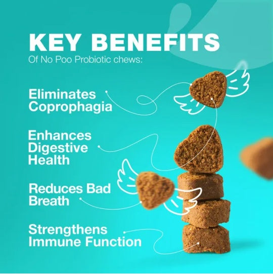 No Poo Chews For Dogs Coprophagia Deterrent For Dogs Forbid For Dogs Stool Eating Deterrent Dog Probiotics For Digestive Health Digestive Gut Immune Health Treats No Poop Eating For Dogs - Shopmerge.site