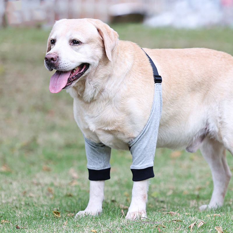 Dog Front Leg Protective Cover Injured Cotton Knee Pads Breathable - Shopmerge.site