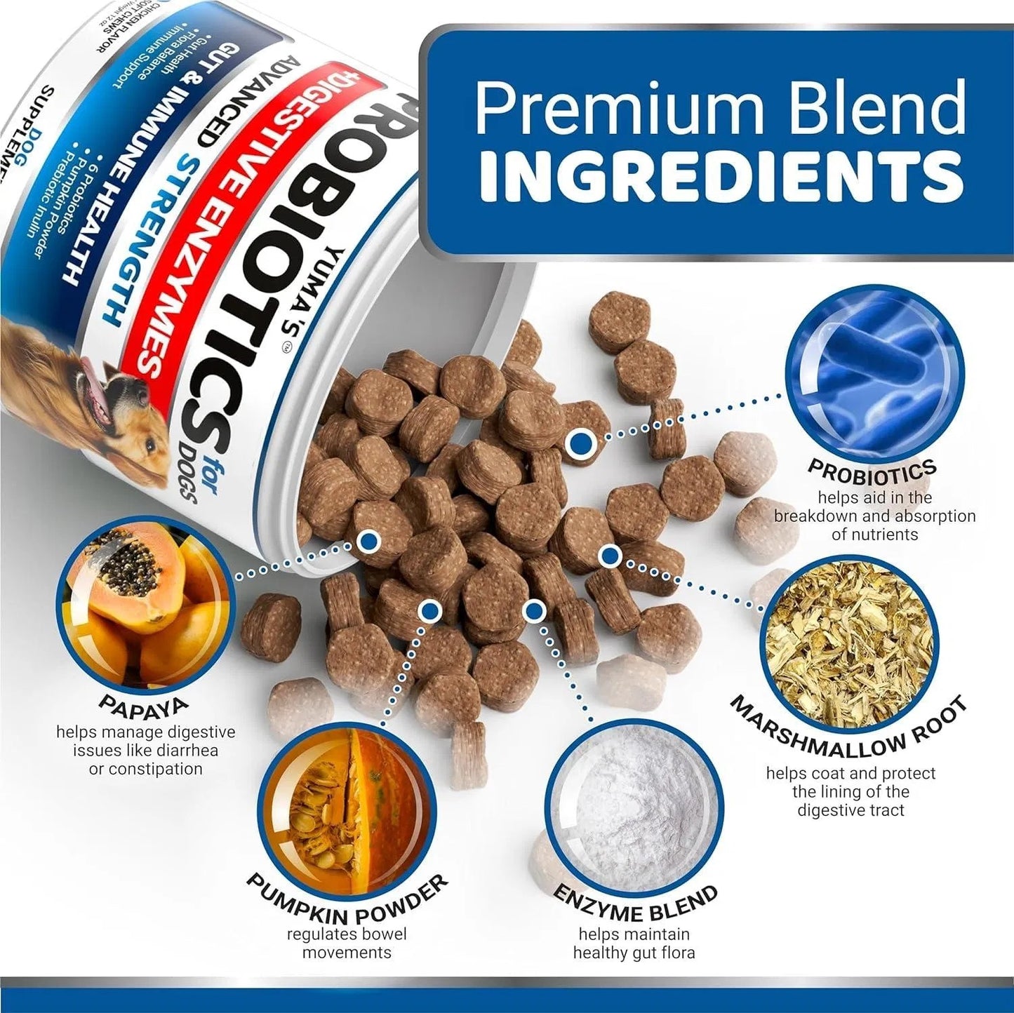 2 Pack Probiotics For Dogs And Digestive Enzymes Dog Probiotics Chews Anti Diarrhea Upset Stomach Gas Relief Constipation Canine Prebiotic Pet Fiber Supplement 340 Chews - Shopmerge.site