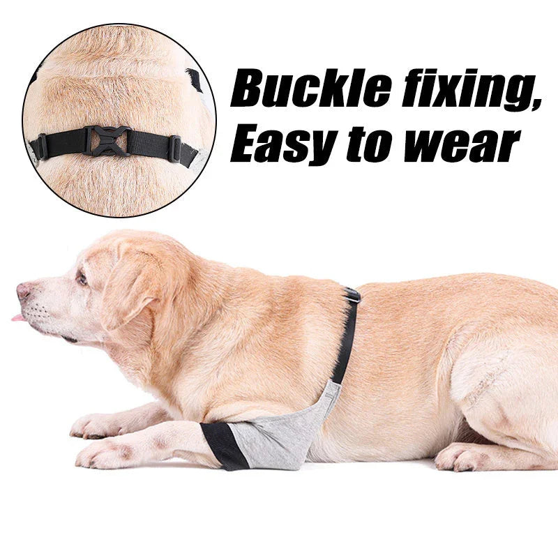 Dog injury Recovery & Support Products| Braces, Wheelchairs & Healing Gear | Braces, wheelchairs & Healing Gear | Shopmerge - Shopmerge.site