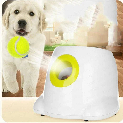 Automatic Interactive Dog Ball Toy – Smart Pet Play & Exercise | Free Shipping + 10% Off - Shopmerge.site