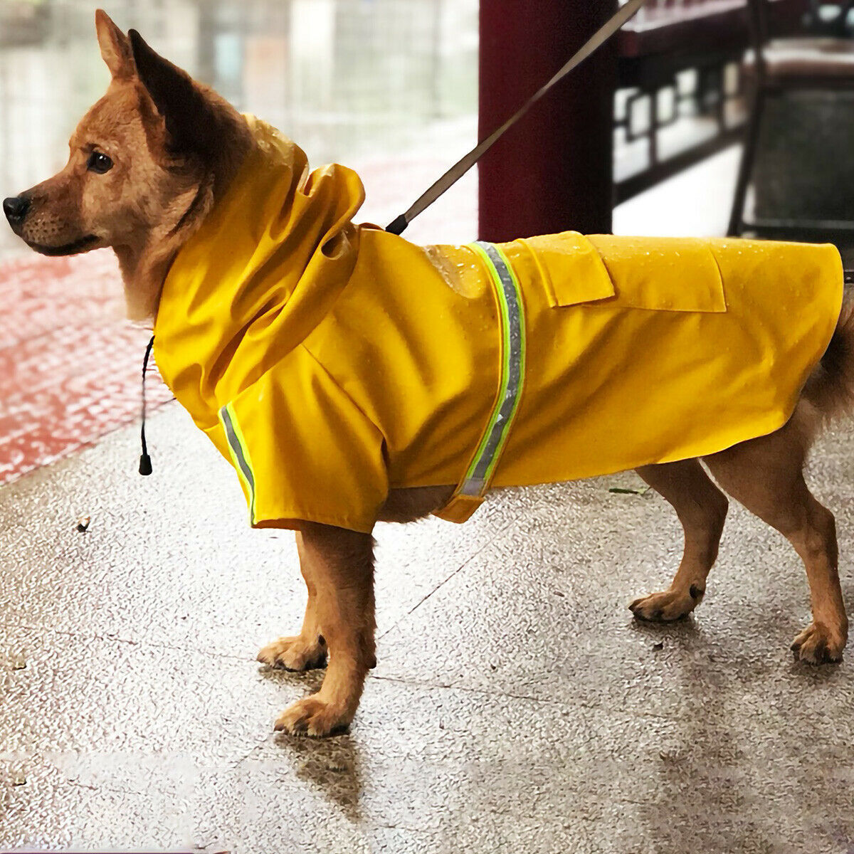 Waterproof Dog Raincoat – Hooded Dog Rain Jacket with Reflective Stripes for Dogs & Puppies - Shopmerge.site