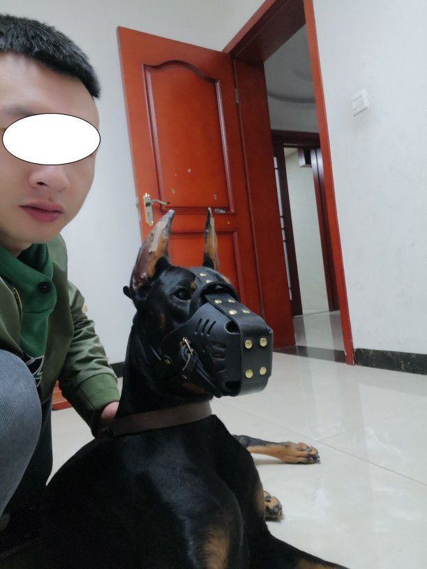 Cowhide Dog Muzzle Medium And Large Dog Horse Dog - Shopmerge.site