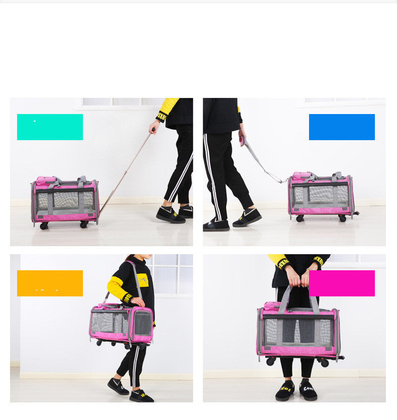 Dog and cat bag - Shopmerge.site