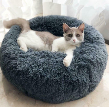 Good Pet Bed with Custom Box - Shopmerge.site
