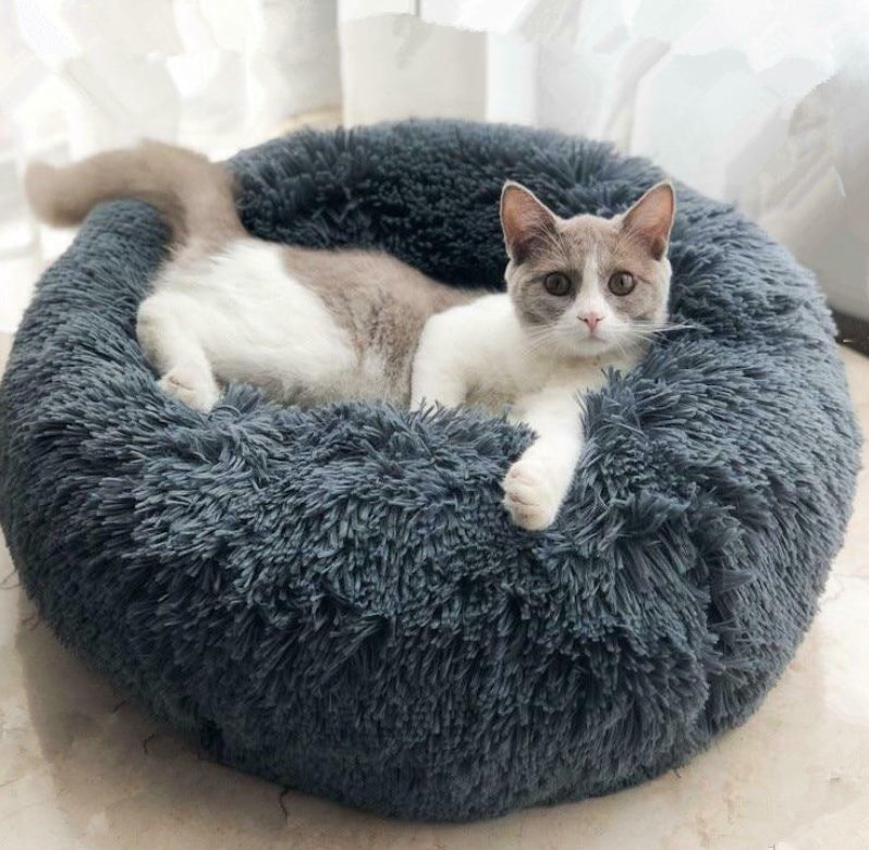 Good Pet Bed with Custom Box - Shopmerge.site
