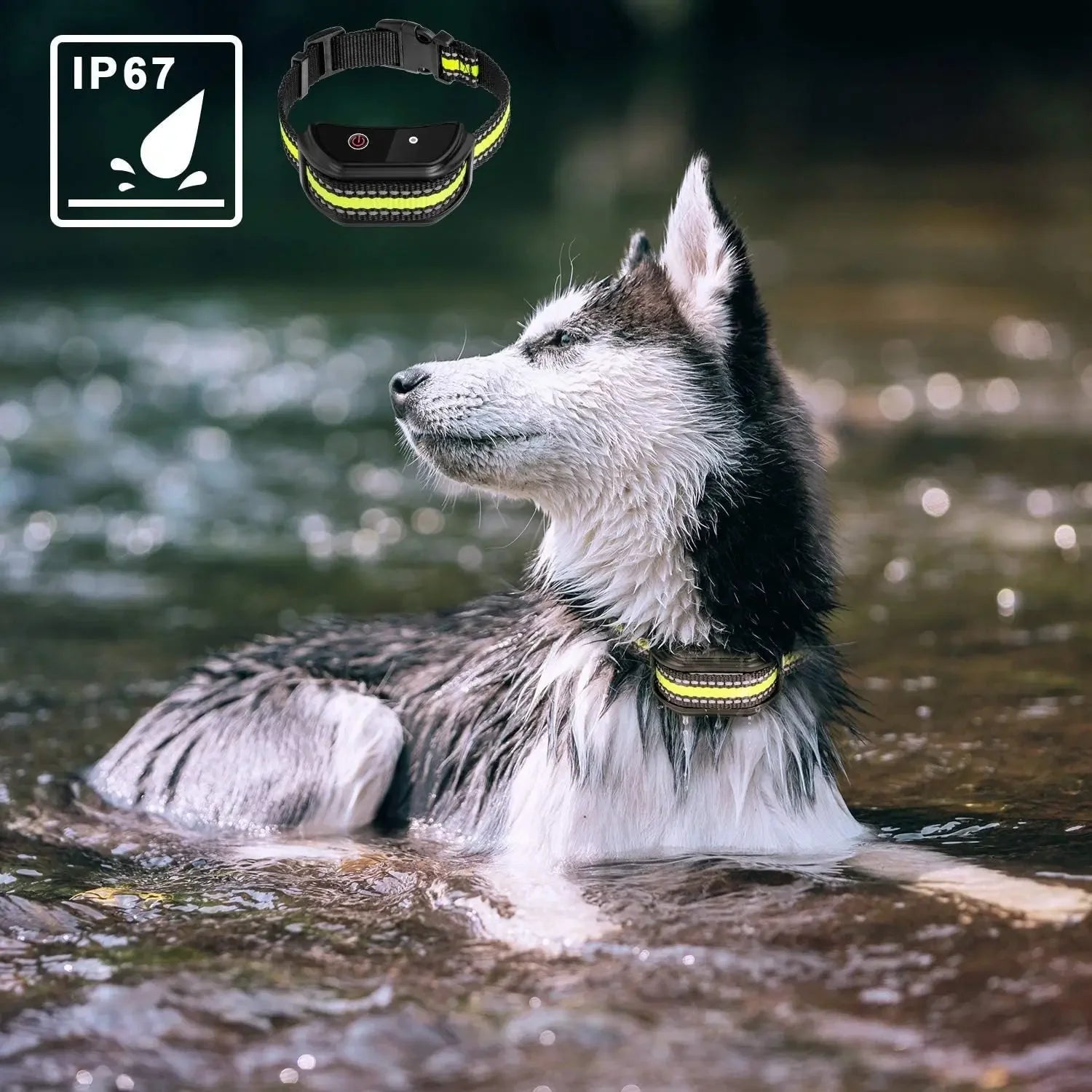 Training Collars To Prevent Dogs From Barking - Shopmerge.site