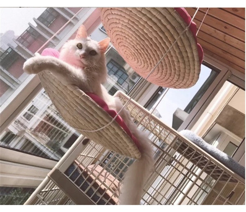 Cat Climbing Frame Cat Litter Cat Tree Cat Jumping Platform Cat Scratching Frame - Shopmerge.site
