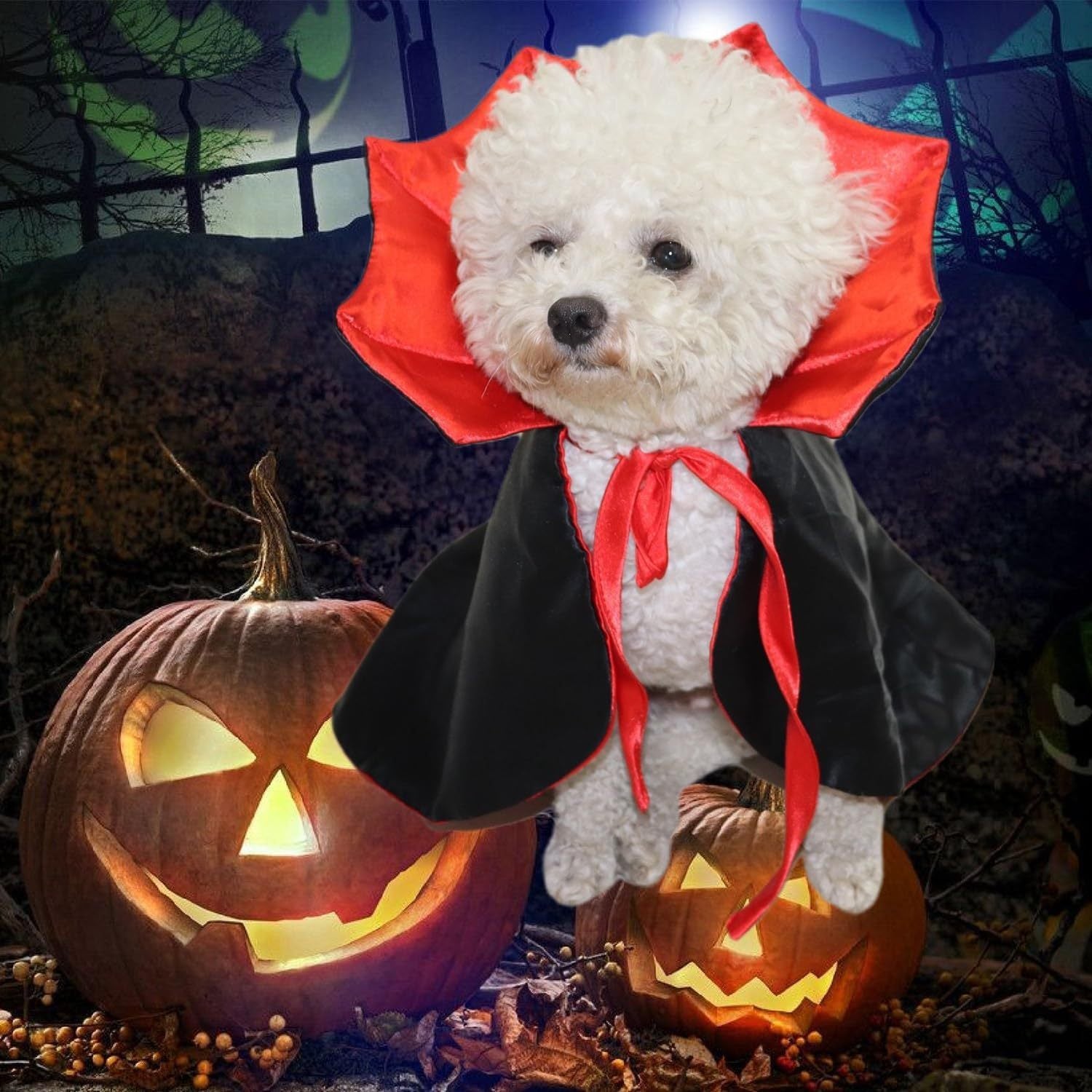 Cute Halloween Pet Costumes Cosplay Vampire Cloak For Small Dog Cat Kitten Puppy Dress Kawaii Pet Clothes Cat Accessoties Gift - Shopmerge.site
