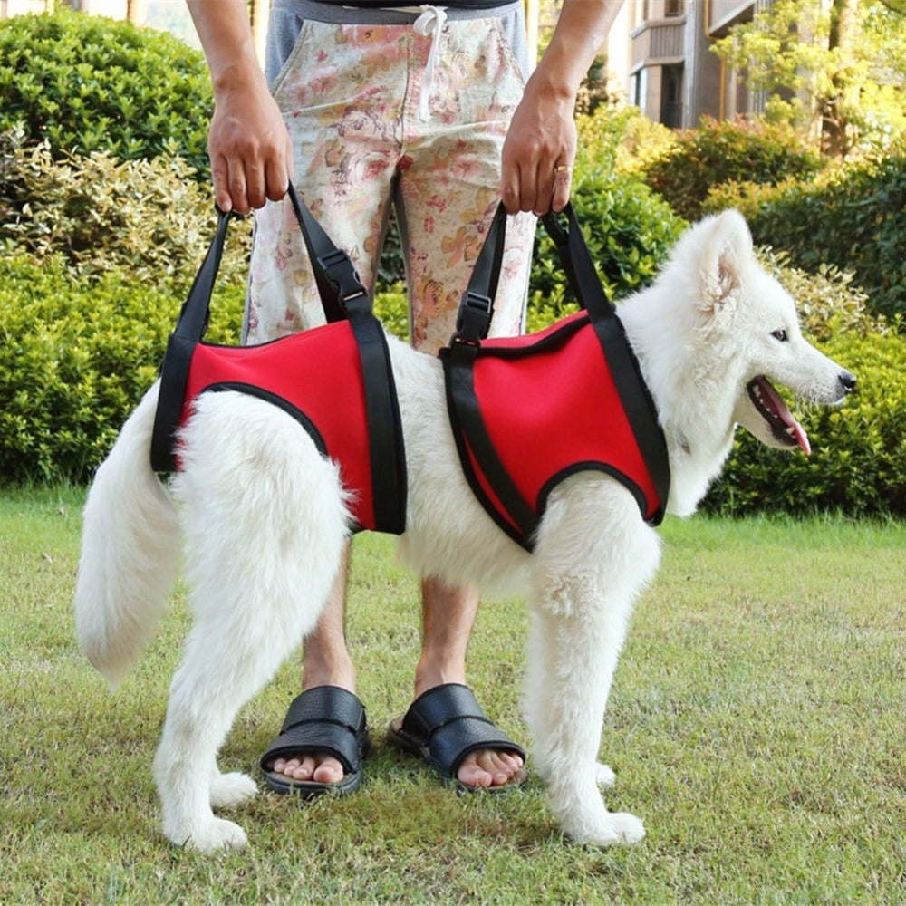 Auxiliary single shoulder lifting strap for injured dog - Shopmerge.site