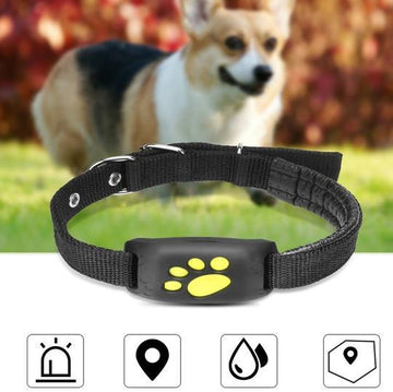 GPS Pet Tracker - Shopmerge.site