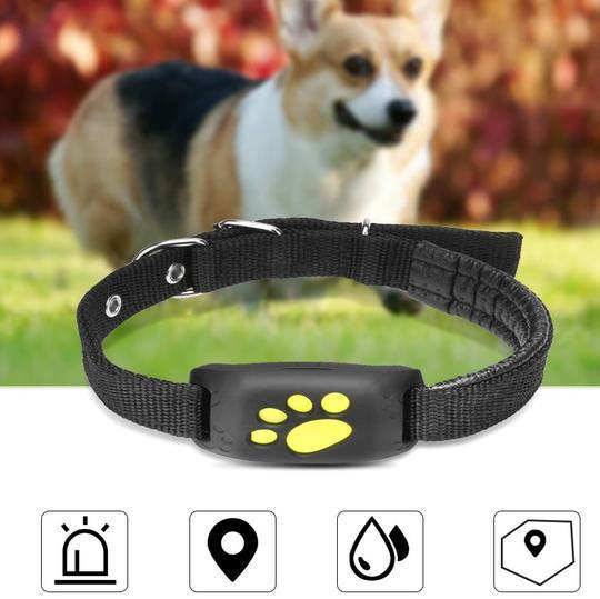 GPS Pet Tracker - Shopmerge.site
