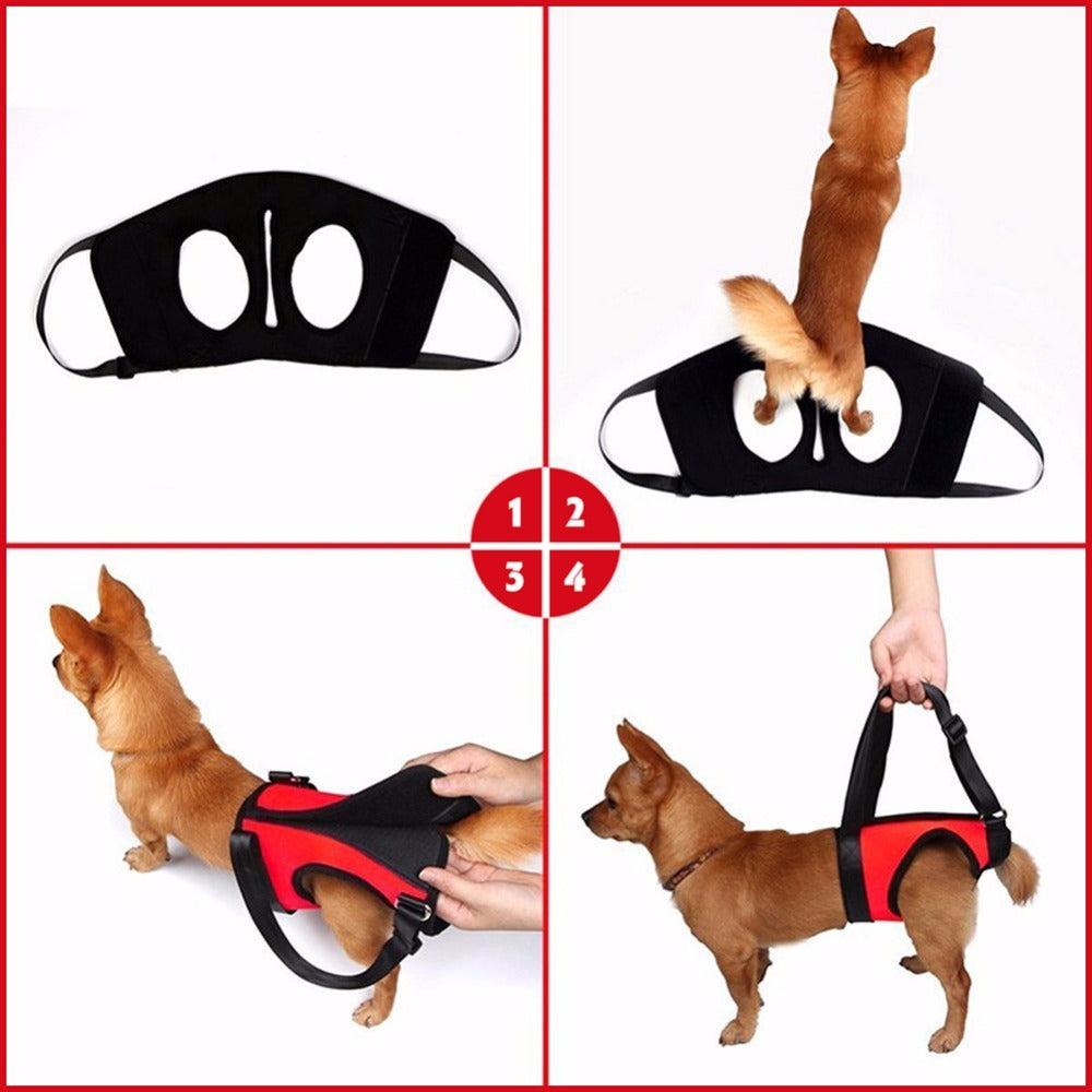 Auxiliary single shoulder lifting strap for injured dog - Shopmerge.site