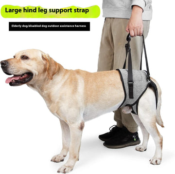 Cross-border Hot Selling Pet Supplies Injured Dog Rear Leg Auxiliary Back - Shopmerge.site