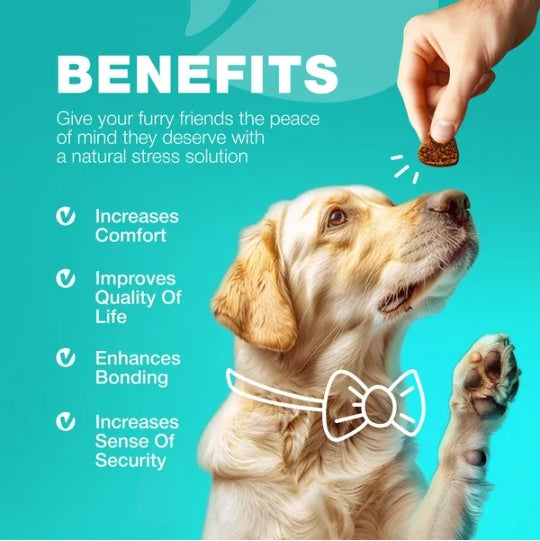 No Poo Chews For Dogs Coprophagia Deterrent For Dogs Forbid For Dogs Stool Eating Deterrent Dog Probiotics For Digestive Health Digestive Gut Immune Health Treats No Poop Eating For Dogs - Shopmerge.site