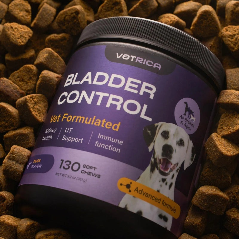 Dog UTI Treatment Duck Flavor Bladder Control Cranberry Chews Dog Cranberry Supplement For Urinary Tract Bladder & Kidney Health Cranberry D Mannose Soft Treats For Dog Incontinence Healthy Bladder - Shopmerge.site