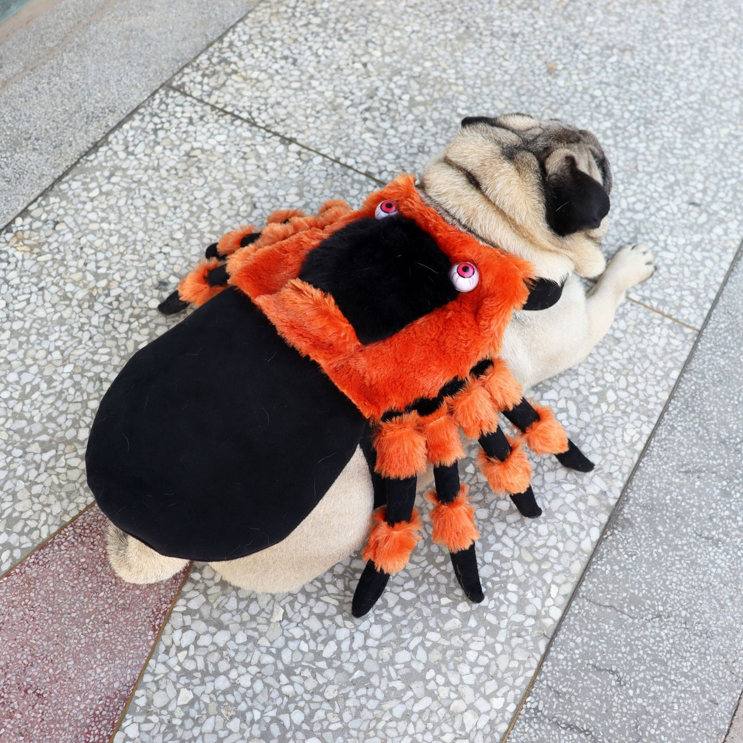 Pet Clothes Halloween Spider Pet Costume - Shopmerge.site