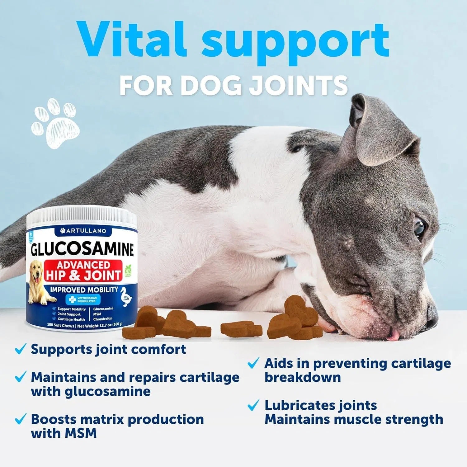 Glucosamine For Dogs Hip And Joint Supplement For Dogs With Arthritis Chews With Chondroitin Hemp Oil MSM Canine Joint Pain Relief Health Mobility Support For Large Breeds 120 Soft Treats - Shopmerge.site