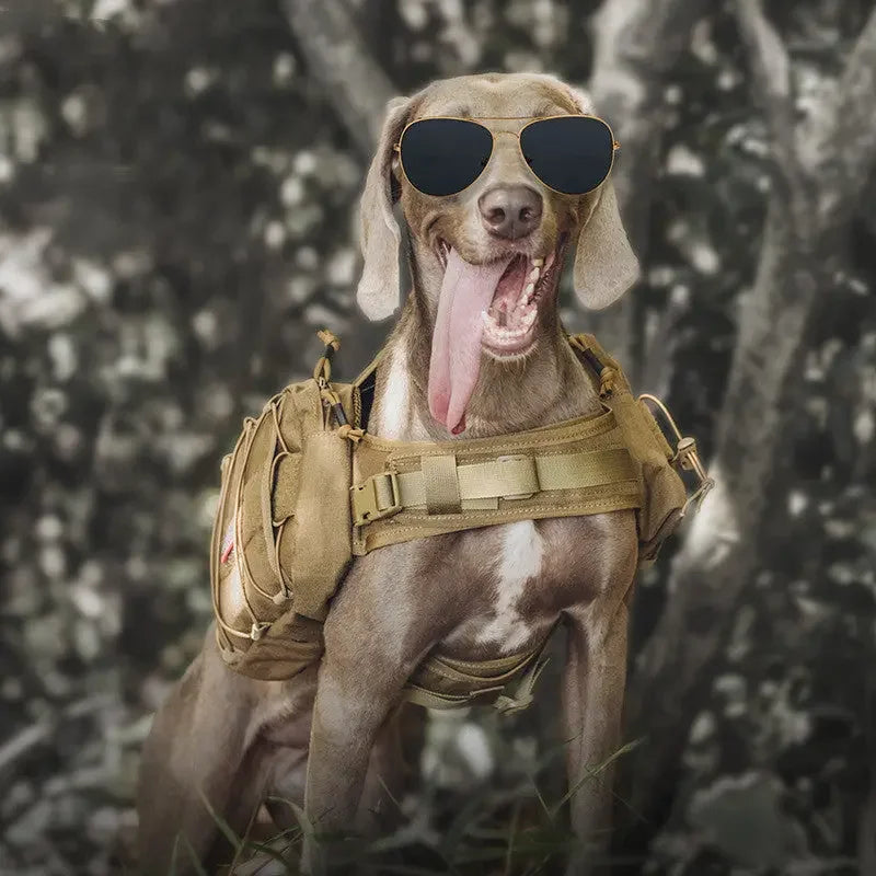 Outdoor Travel Bag For Walking Dogs - Shopmerge.site