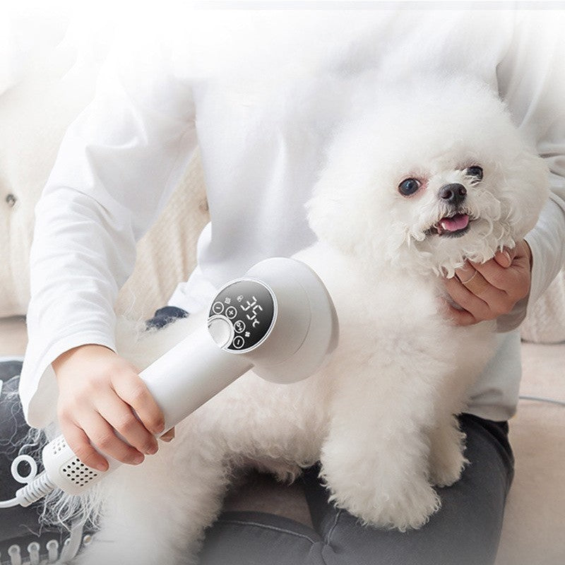 Smart Pet Hair Dryer Dog Golden Retriever Cat Grooming Hairdressing Blow & Comb Silent No Harm Pet Cleaning Supplies Pet Products - Shopmerge.site