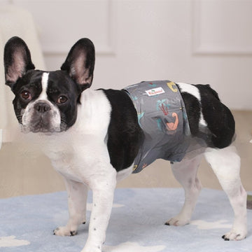 Pet Washable Physiological Dog Diaper Pants - Shopmerge.site