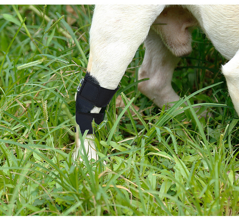 Dog Injured Anti-lick Joint Fixation And Recovery Auxiliary Strap - Shopmerge.site