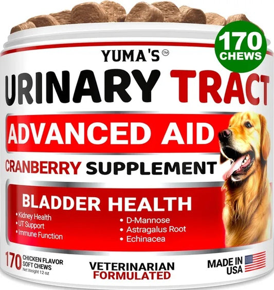 Dog UTI Treatment 170 Treats Cranberry Supplement For Dogs Bladder Control For Dogs - Shopmerge.site