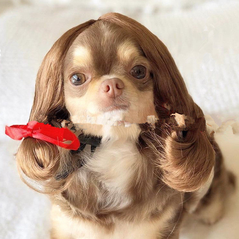 Pet Wig Afro Head Bangs Pigtail - Shopmerge.site