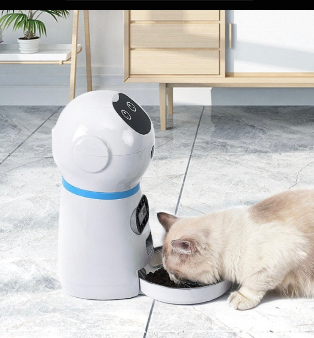 Automatic Pet Feeder for Dogs & Cats – Smart Feeder with Free Shipping - Shopmerge.site