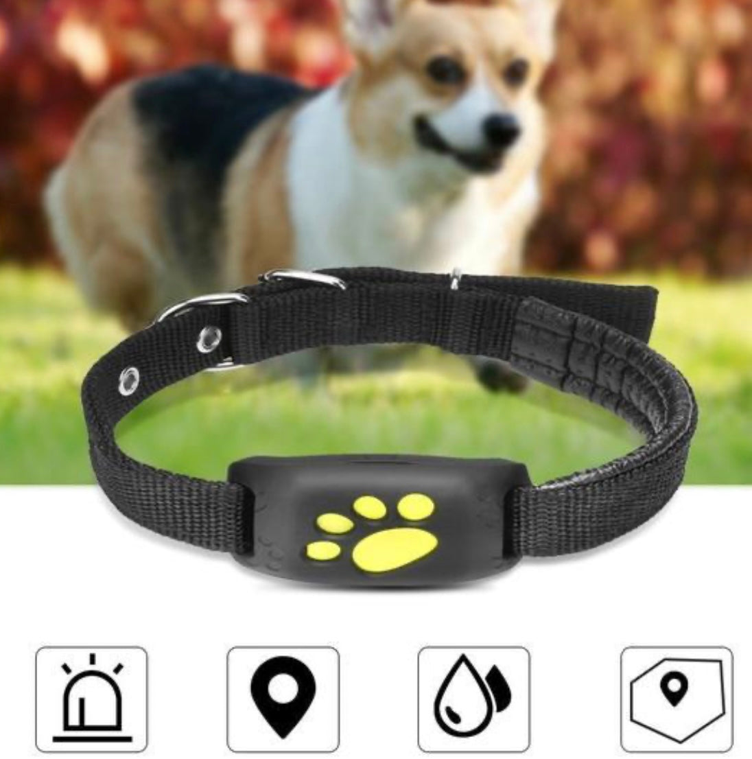 Dog Tracking GPS Collar – Real-Time Pet Locator with App Control - Shopmerge.site