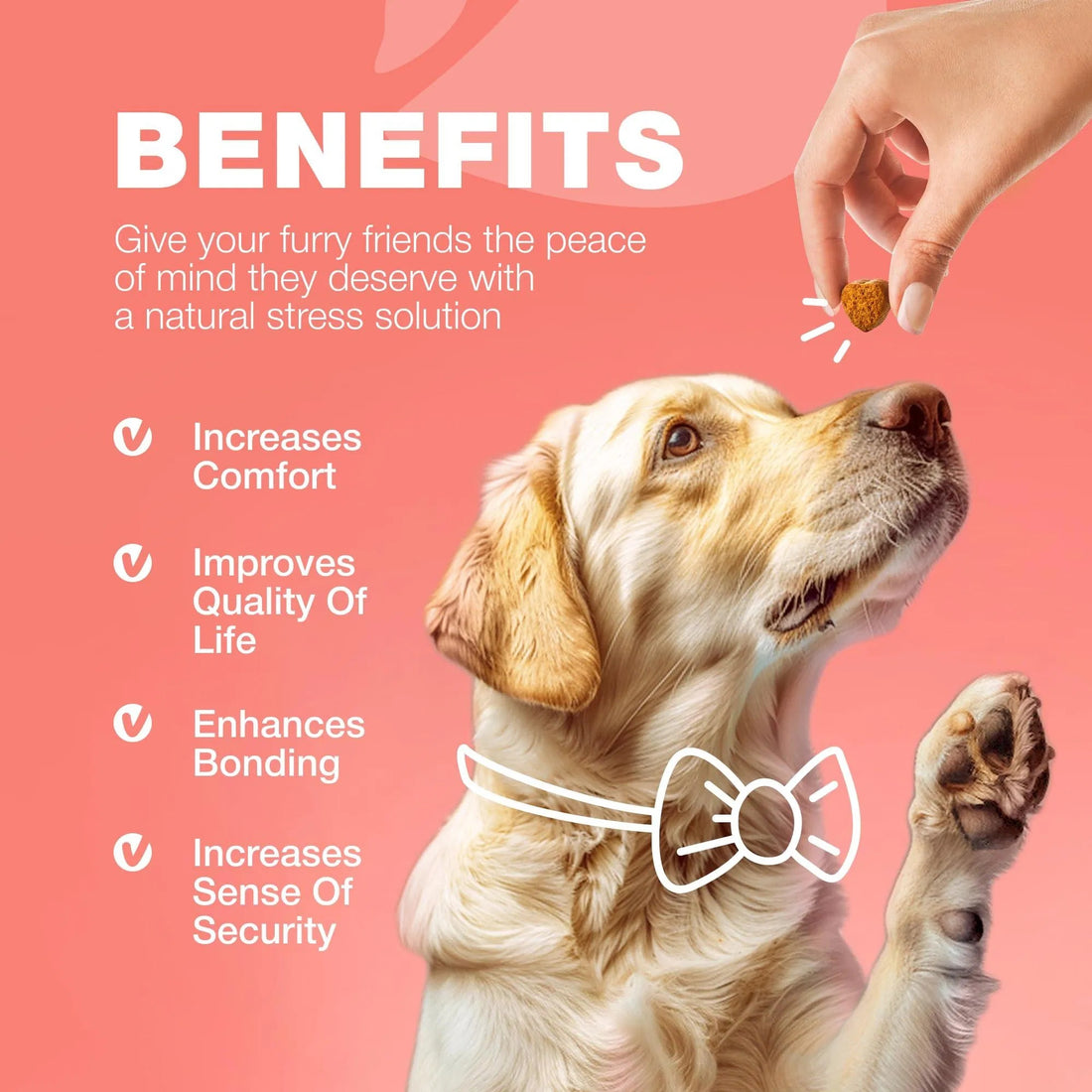Dog Flea And Tick Treatment Chews FleaTick Prevention For Dogs Chewables Natural Dog Flea & Tick Control Soft Treats Immune Support Supplement CANNOT Be Listed For Sale On Amazon - Shopmerge.site