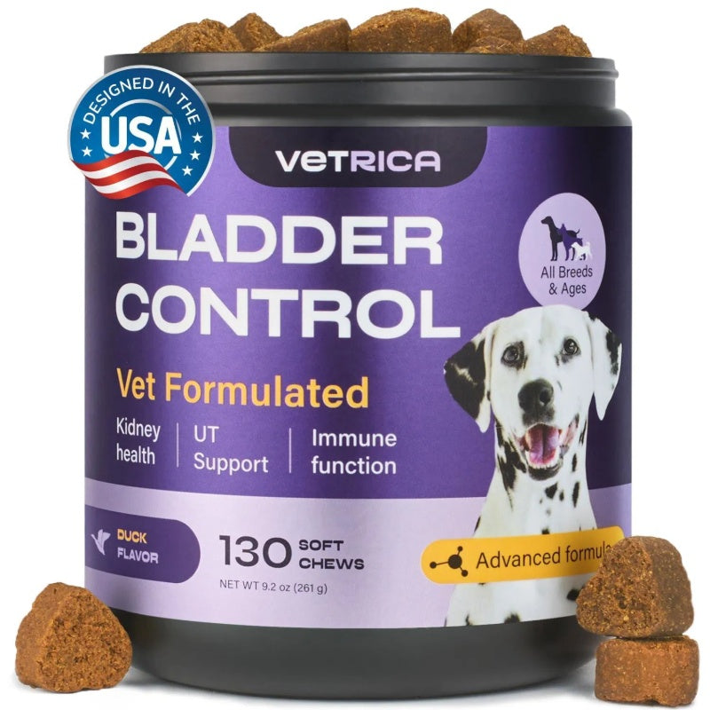 Dog UTI Treatment Duck Flavor Bladder Control Cranberry Chews Dog Cranberry Supplement For Urinary Tract Bladder & Kidney Health Cranberry D Mannose Soft Treats For Dog Incontinence Healthy Bladder - Shopmerge.site