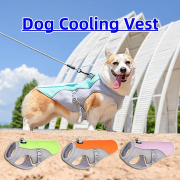 Summer Dog Cooling Vest – Heat-Resistant, Breathable & Sun-Proof Pet Clothes - Shopmerge.site