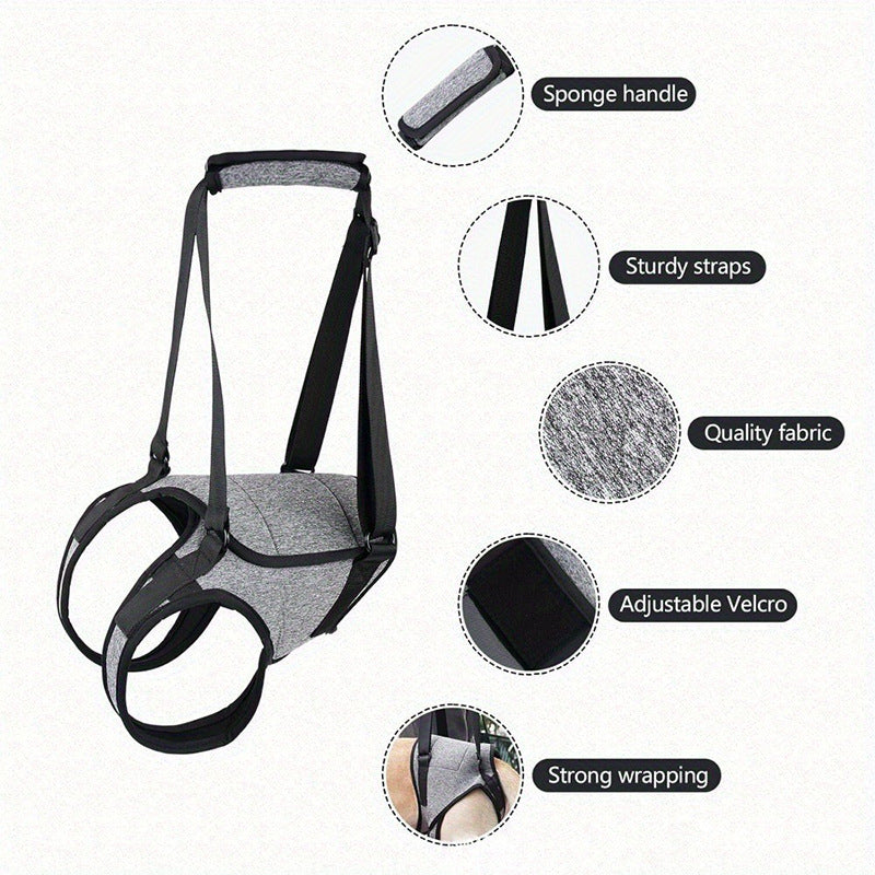 Cross-border Hot Selling Pet Supplies Injured Dog Rear Leg Auxiliary Back - Shopmerge.site