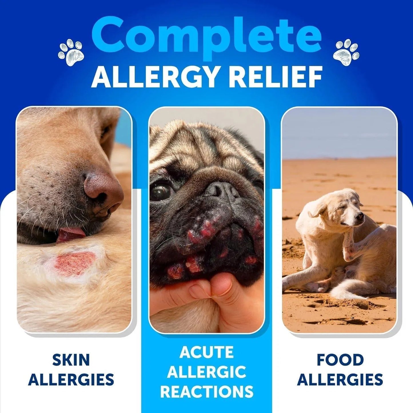 Dog Allergy Relief Chews Itching Skin Relief For Dogs Fish Oil 3 Seasonal Allergies Pills Skin & Coat Anti ItchHot Spots Treatment Canine Immune Health Supplement 120 Soft Treats - Shopmerge.site