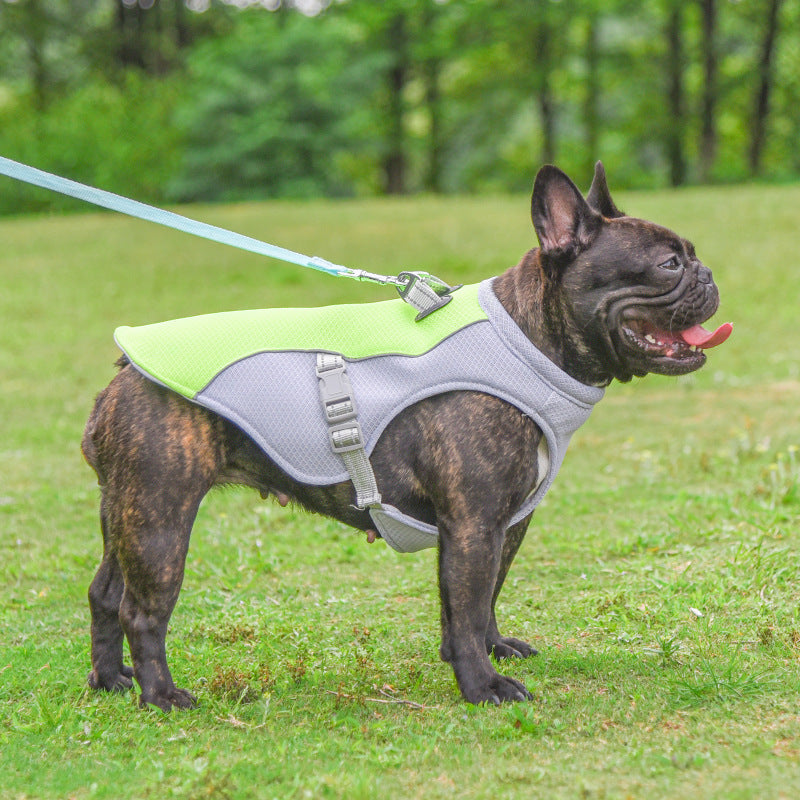 Summer Dog Cooling Vest – Heat-Resistant, Breathable & Sun-Proof Pet Clothes - Shopmerge.site