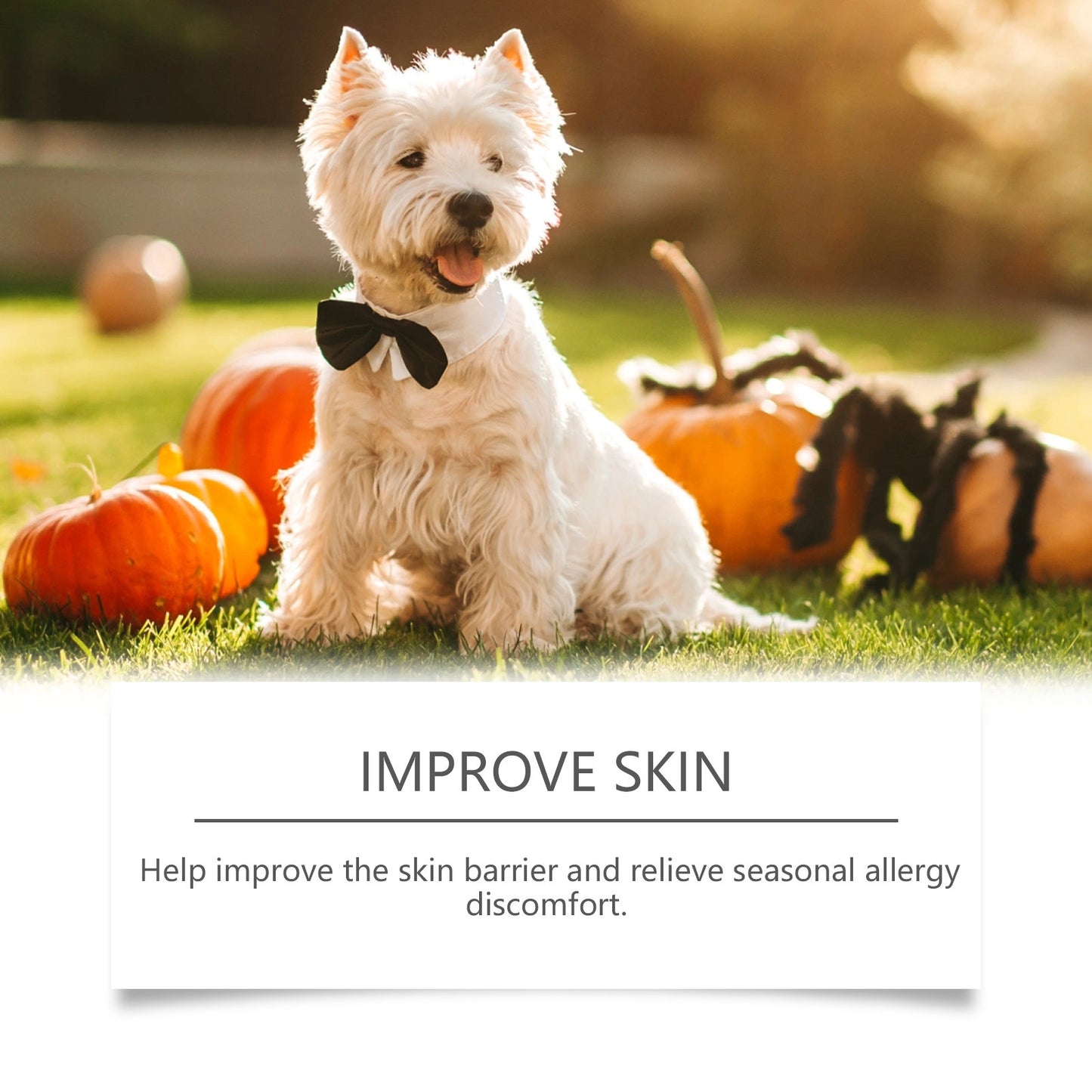 Allergy Relief Immune Chews - Shopmerge.site